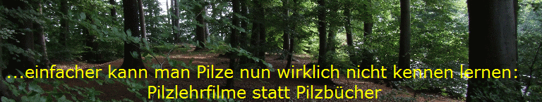  ...einfacher kann man Pilze nun wirklich nicht kennen lernen: 
                          Pilzlehrfilme statt Pilzbcher