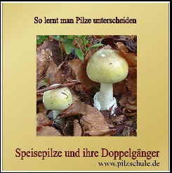 CD-Speisepilze und Doppelgnger_1